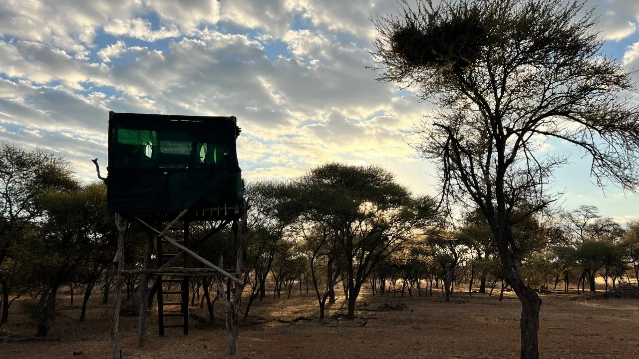 Hunting blind overlooking a waterhole