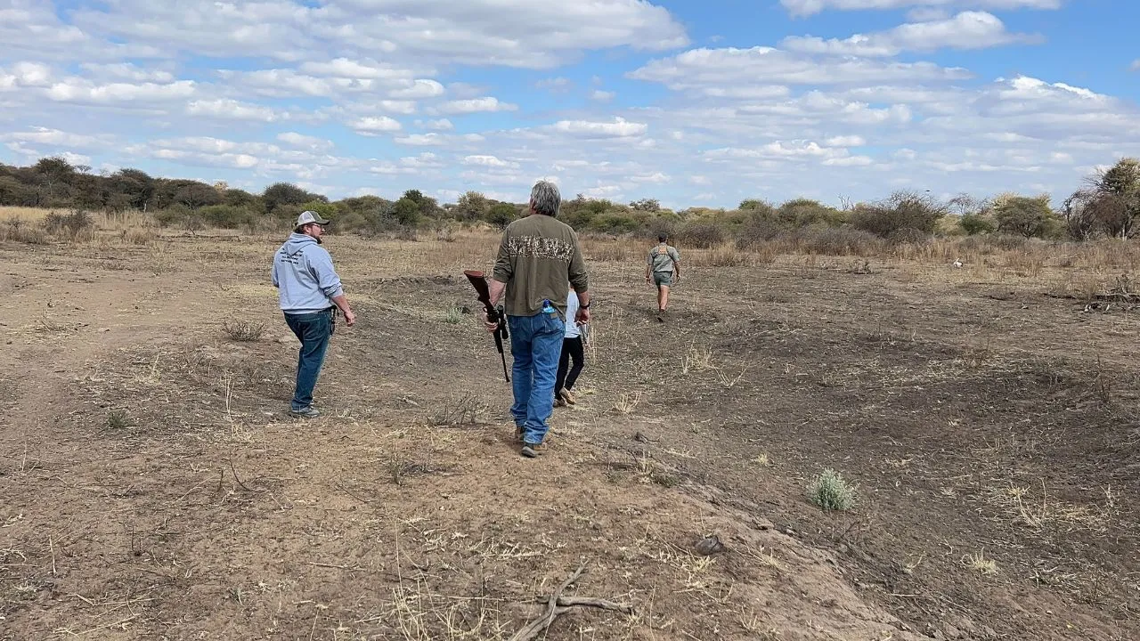 Hunting party walking open Kalahari country