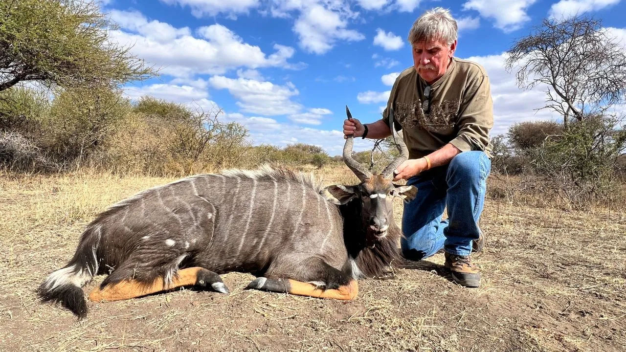 Blue wildebeest taken on the plains