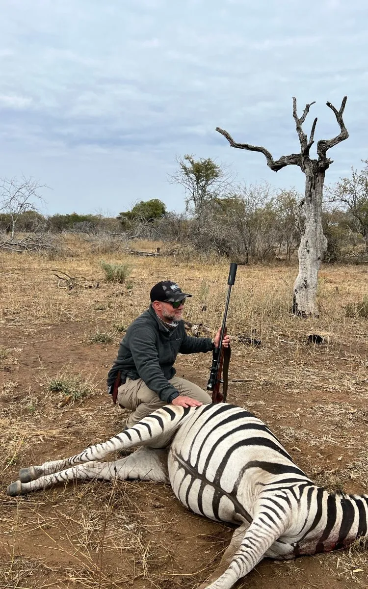 Burchell's zebra taken in mopane